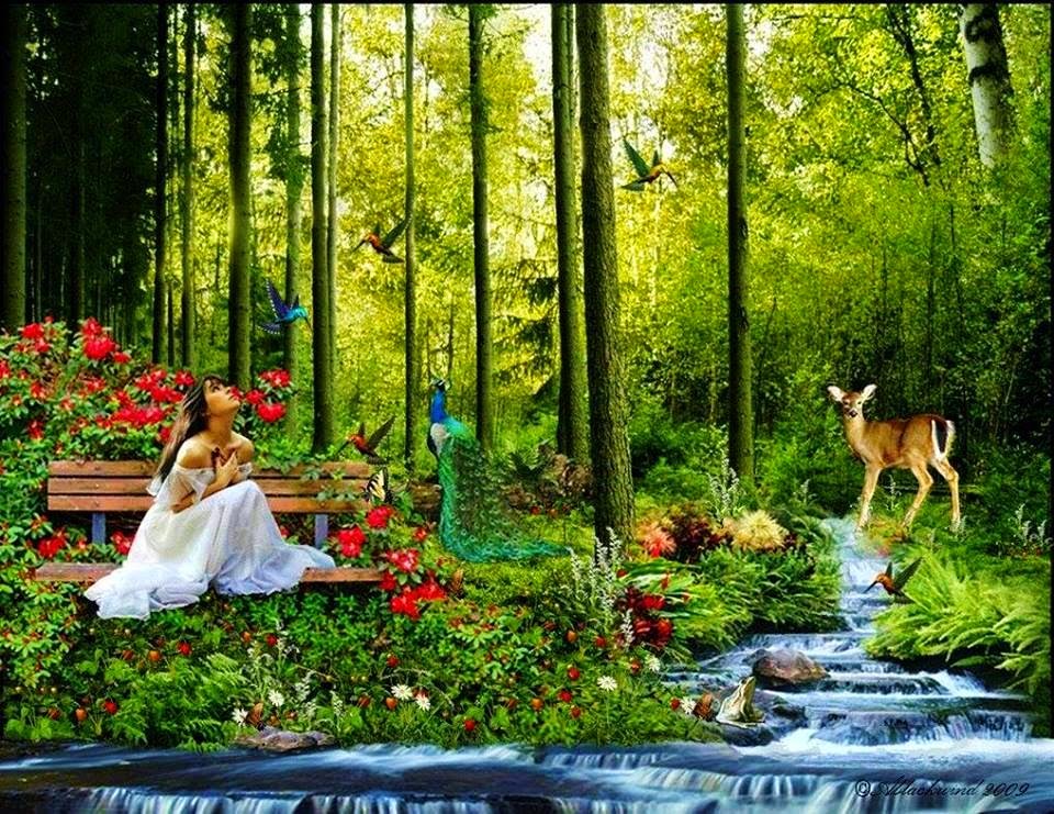 Σχετική εικόνα