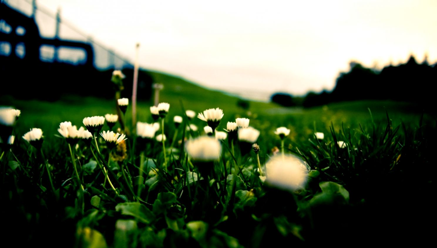 Cool Fresh Wallpaper 6781745