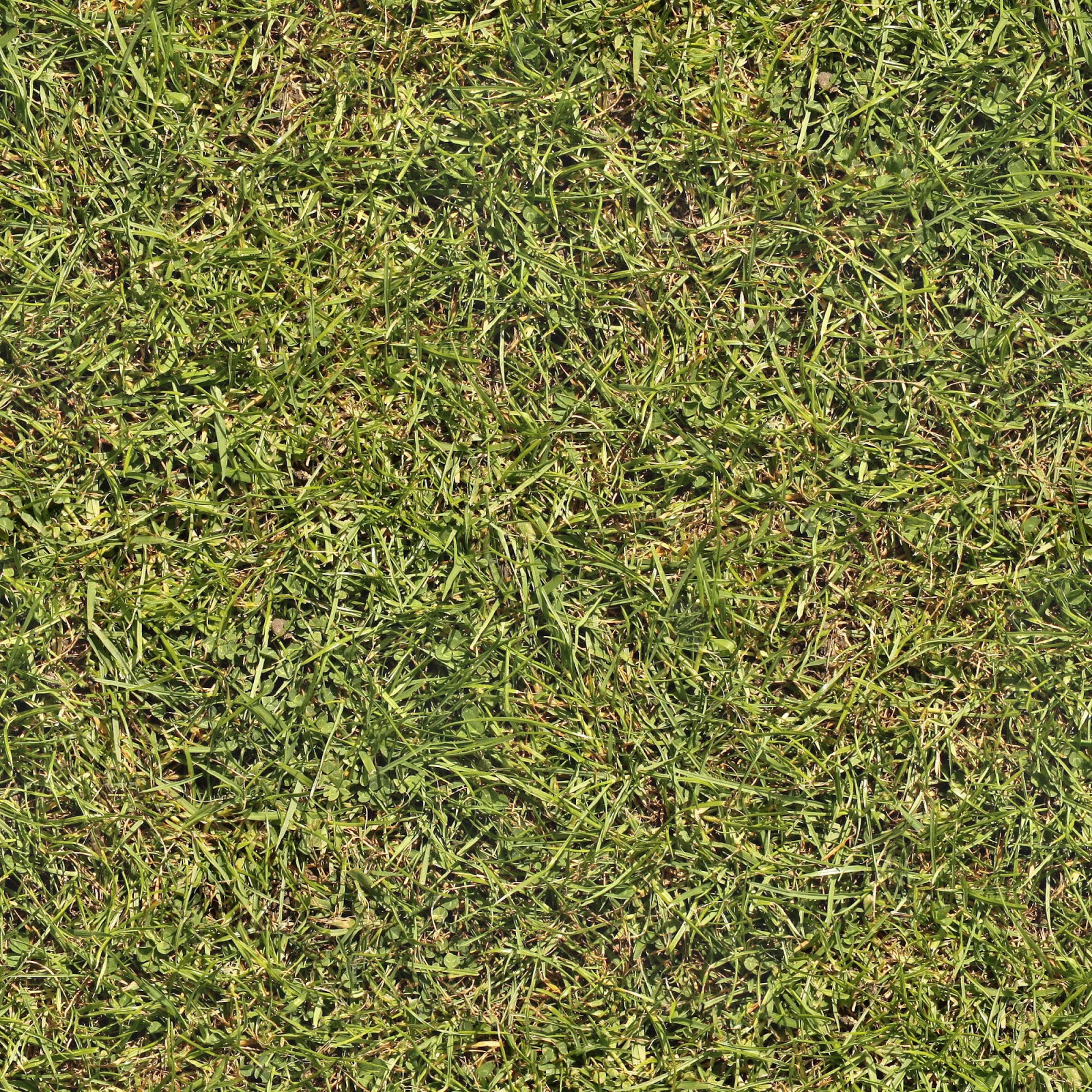 HIGH RESOLUTION TEXTURES Ground high-resolution-textures-ground