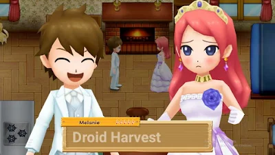 Harvest Moon: Light of Hope Features Review
