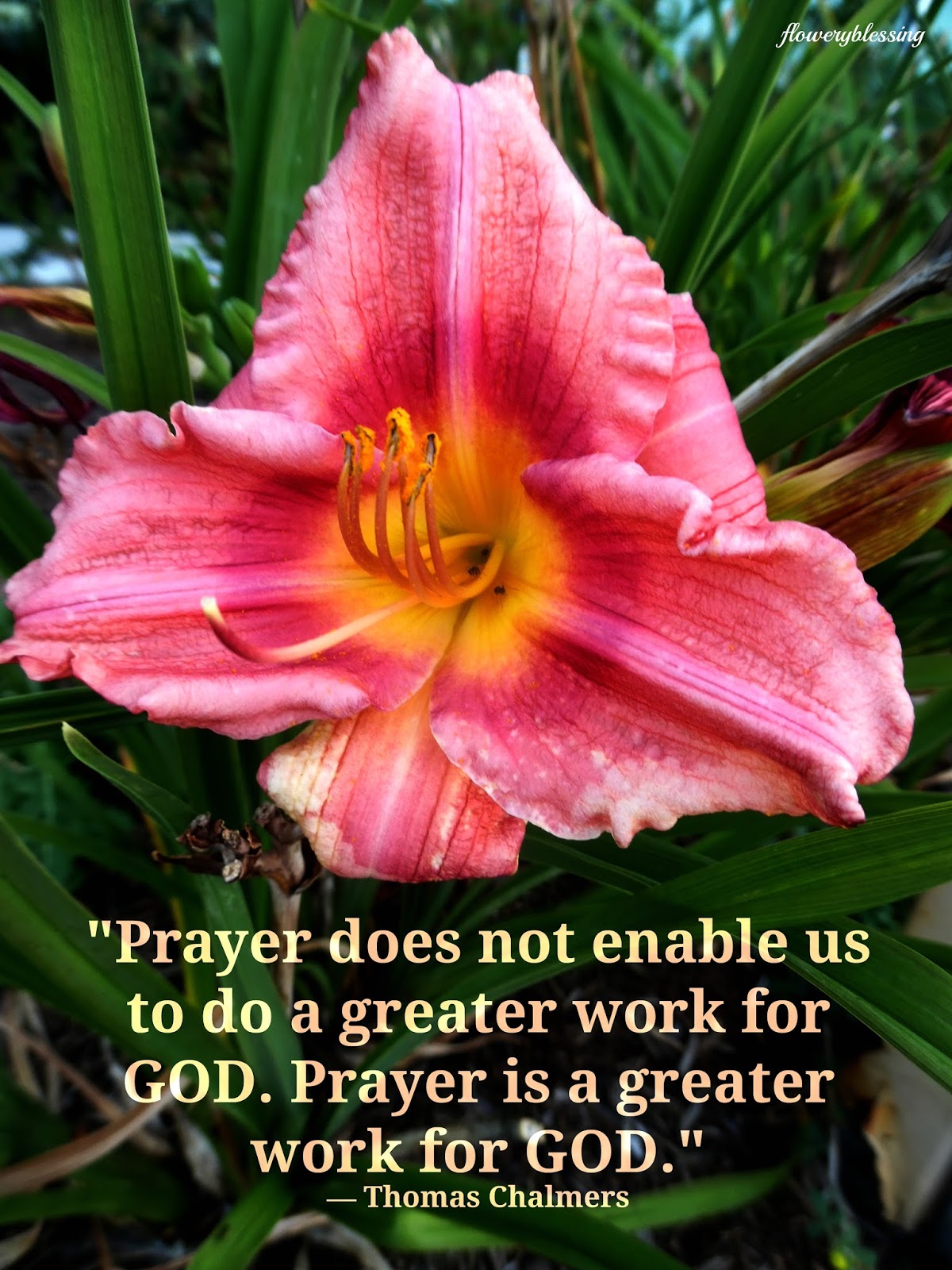 Flowery Blessing "Prayer does not enable us to do a greater work for