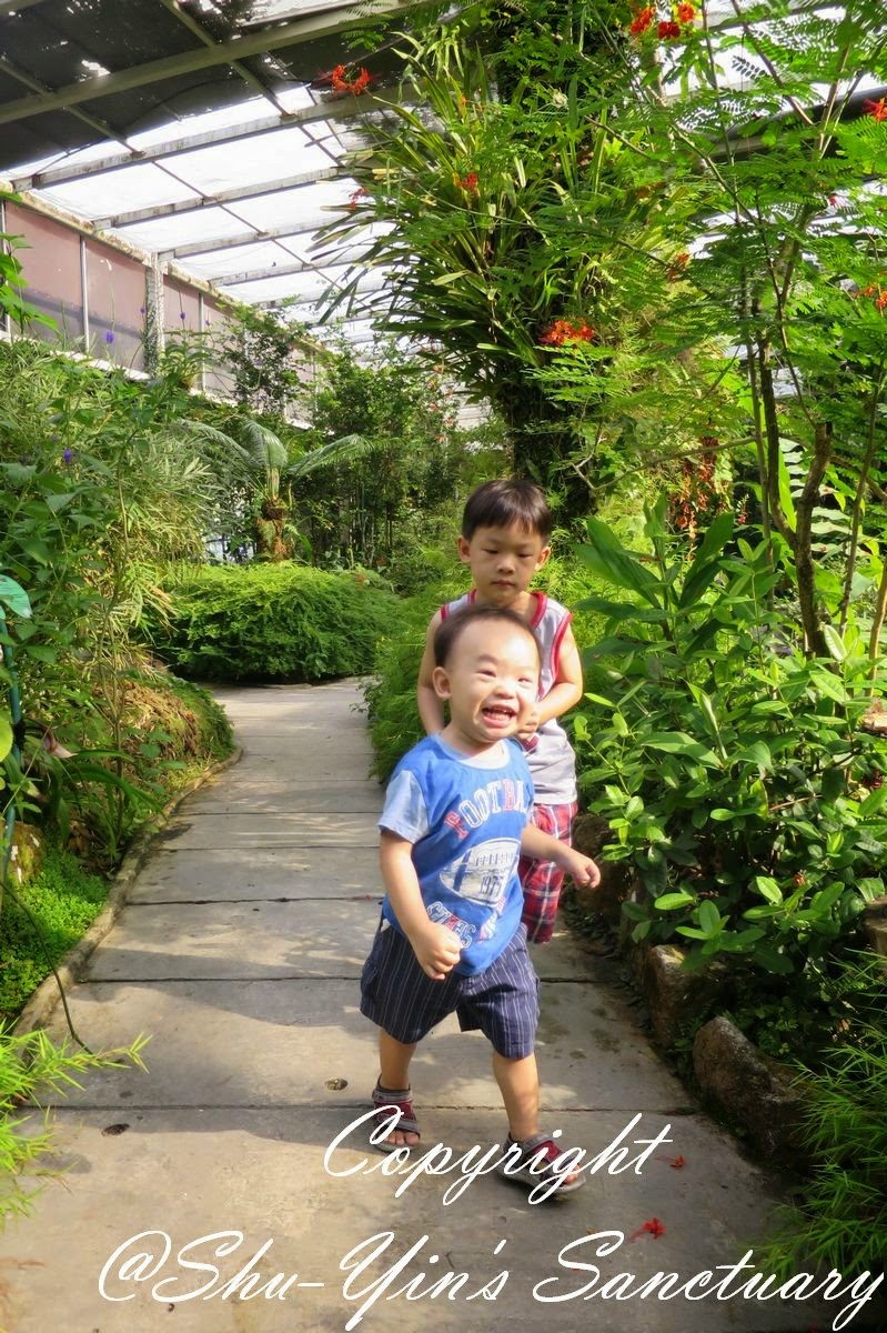 Shu-Yin's Sanctuary: Merdeka Day with Butterflies @ Penang Butterfly Farm!