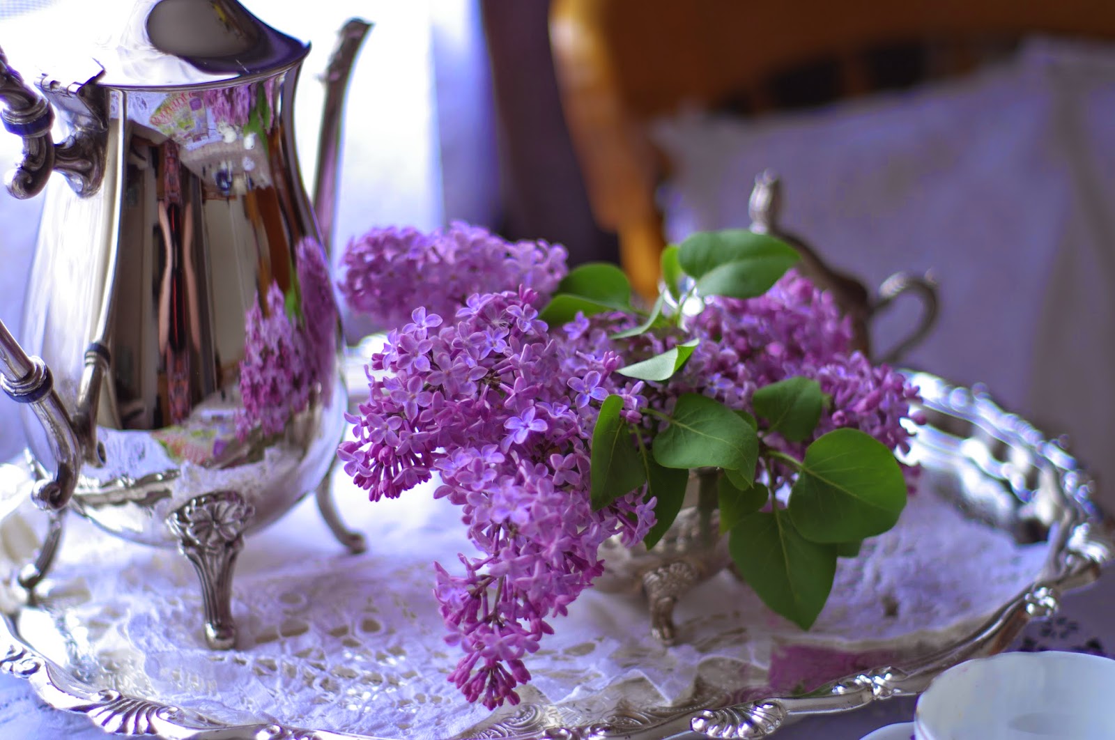 My dream cottage Lilacs tea