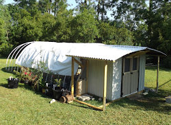 hoop coop chicken build