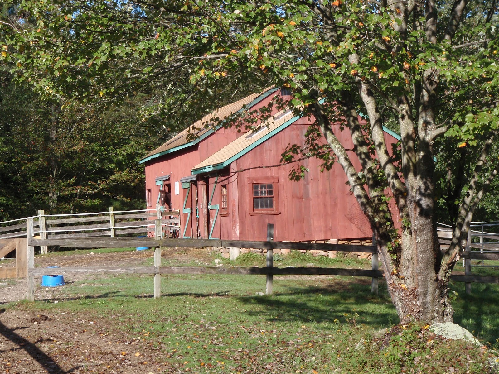 One Day in America 24 hours at Grace Note Farm in Pascoag, Rhode Island