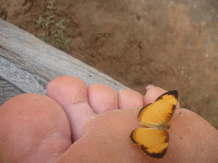 Confiança algo que se conquista - meu pé e a borboleta - no Itaguari em Côcos - Bahia