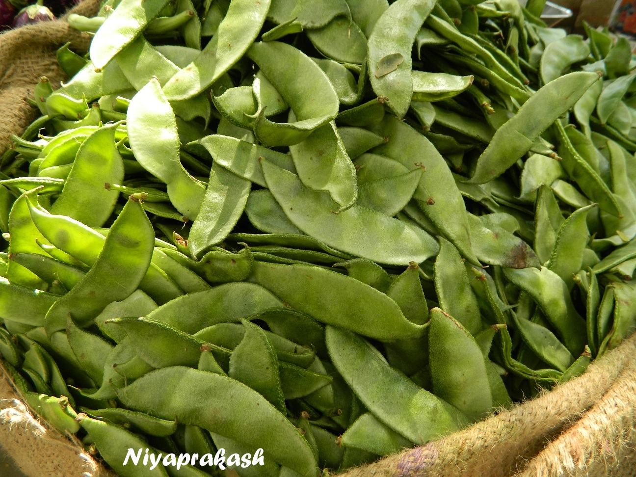 Niya's World Photos of Fresh Vegetables Our neighborhood store, Chennai