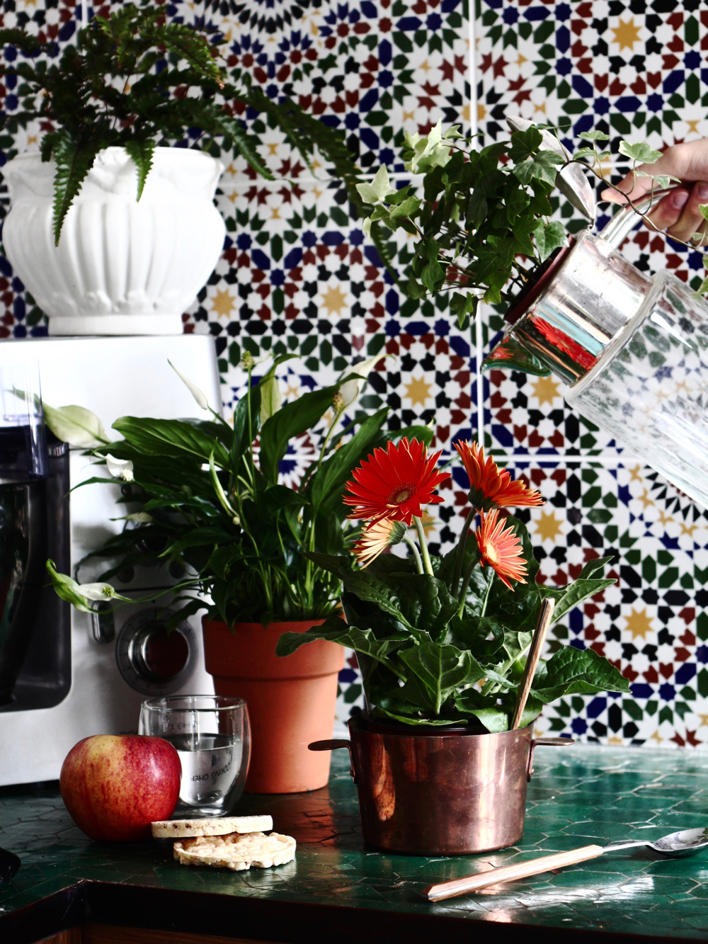 Oxygéner et décorer sa maison ou son appartement c'est possible en un seul coup grâce aux plantes purifiantes !