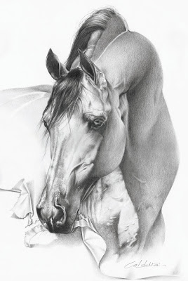 dibujo de caballo