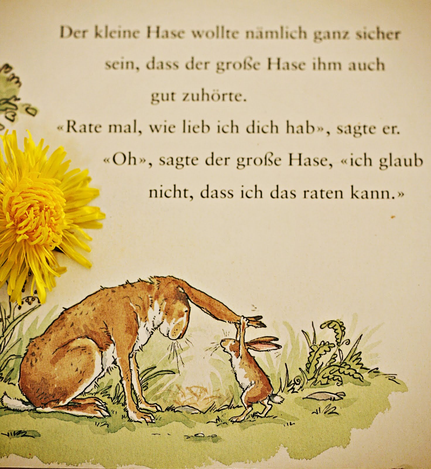 Deklination und Plural von Bekanntschaft