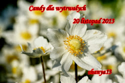 Wygrana w Candy dla Wytrwałych 20. 11