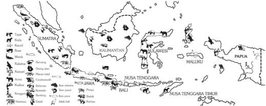 Alam indonesia  Sumber daya alam di  indonesia 