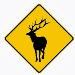 elk crosing