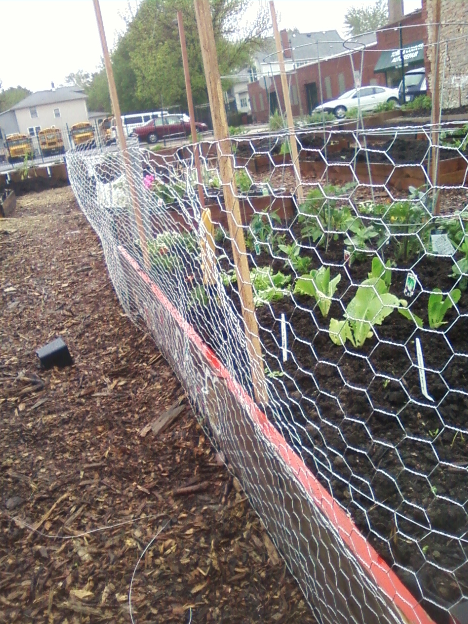 My 4X8 Building a rabbit proof fence (and a pea trellis)