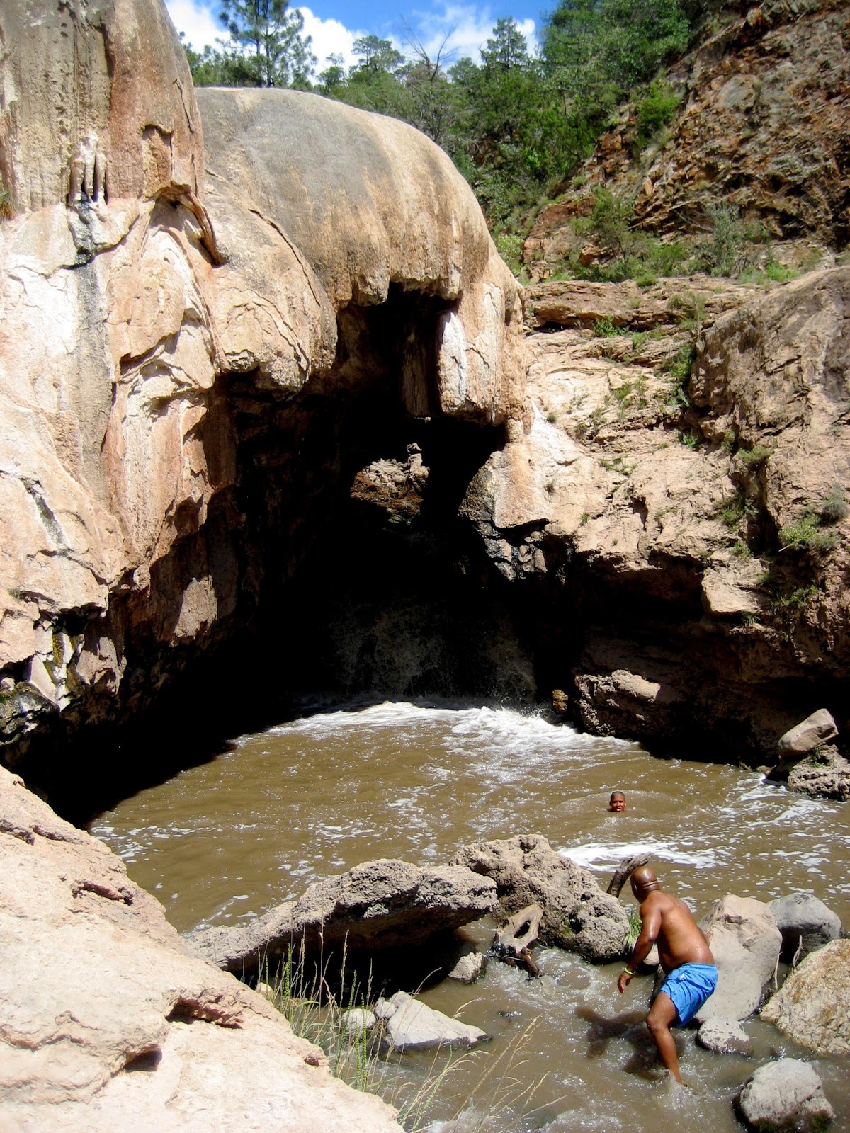 Living Rootless Fenton Lake State Park, New Mexico