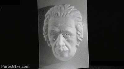 einstein-illusion.gif