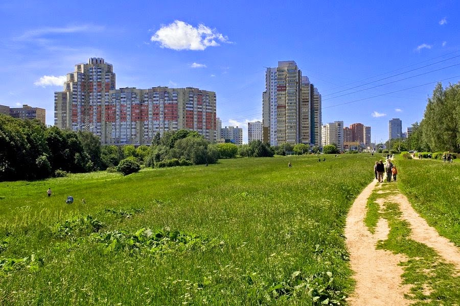 Парк битцевский лес. Битцевский парк бутово. Парк битцевский лес. Парк битцевский лес. Парк, парк, битцевский лес.