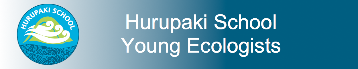 Hurupaki School Young Ecologists