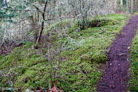 Pass Lake Loop Trail, Deception Pass State Park
