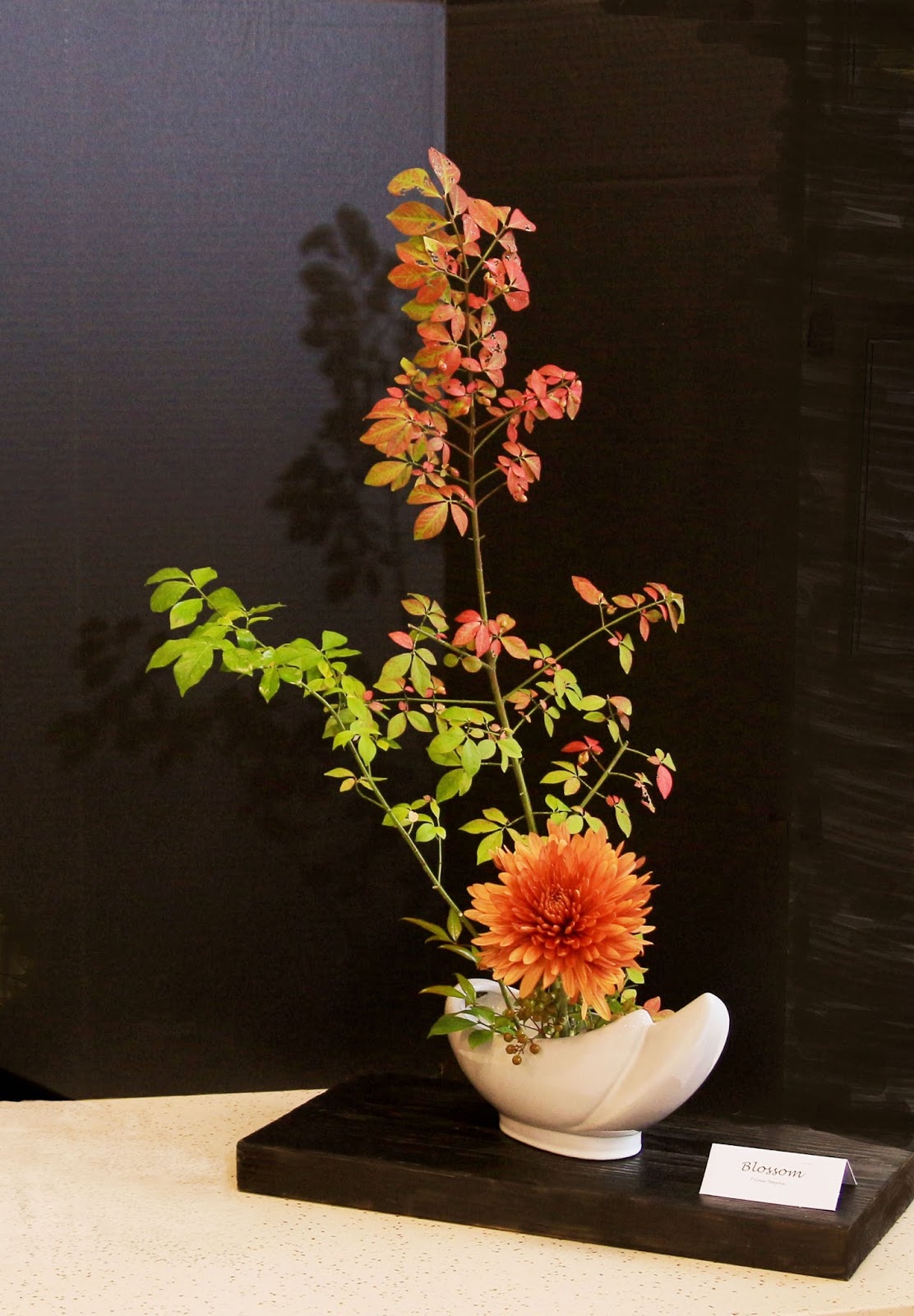 Flowers,Ikebana and I Fall into Ikebana