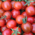 Kisah Tomato
