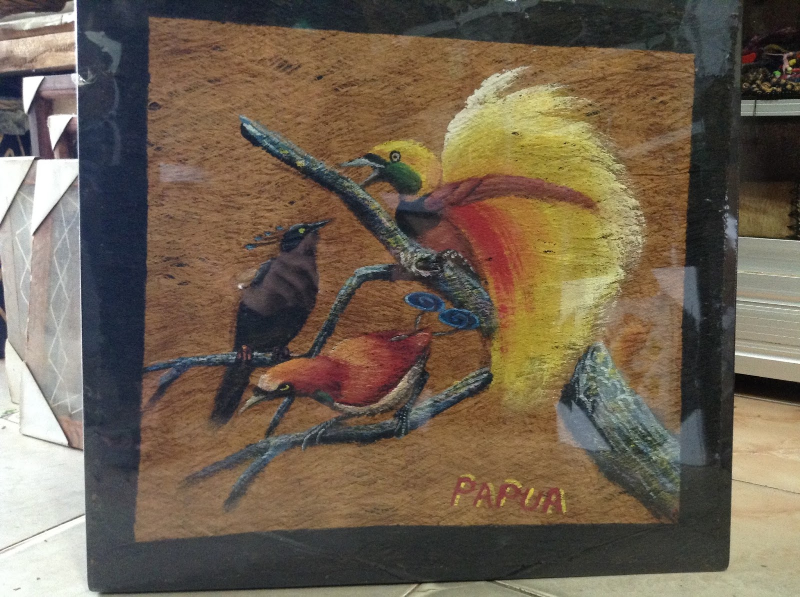 6800 Koleksi Gambar Burung Cendrawasih Dan Tifa Terbaru