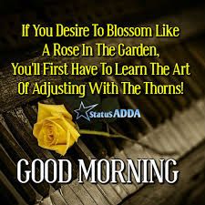 good night cute images