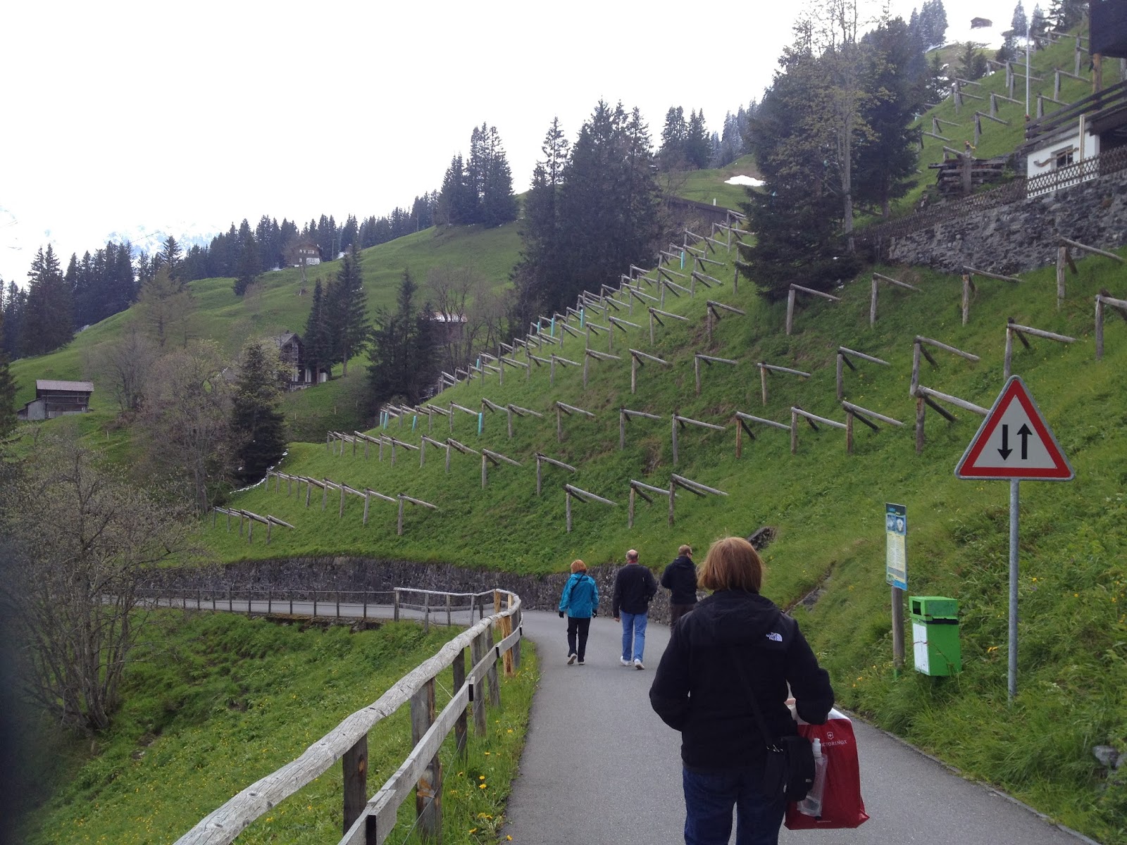 Lisa Living Well: Europe Trip Recap: Hike from Gimmelwald to Mürren