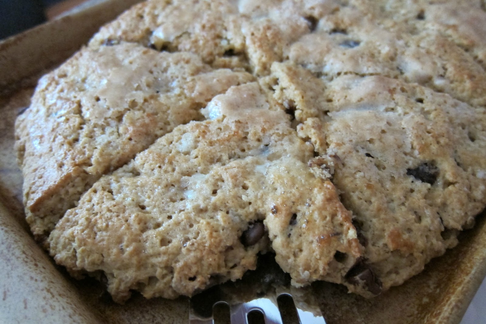 NOVA Frugal Family Peanut Butter Chocolate Chip Oatmeal Scones