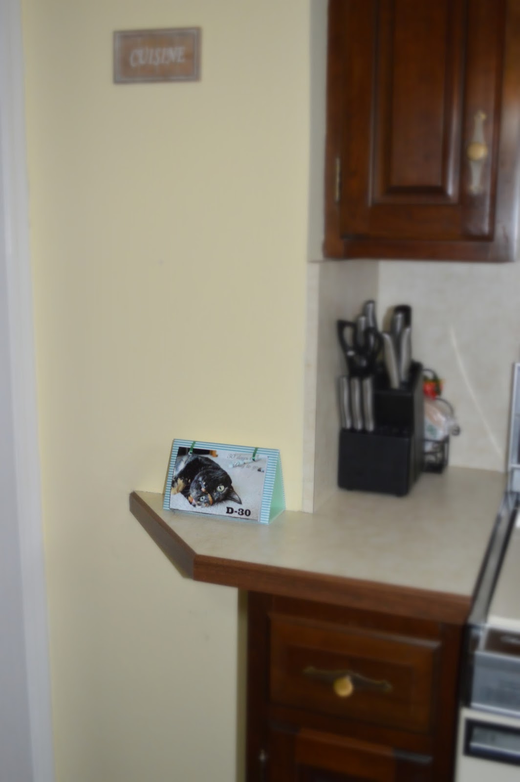 life-in-positudiness-diy-personalized-countdown-flip-calendar