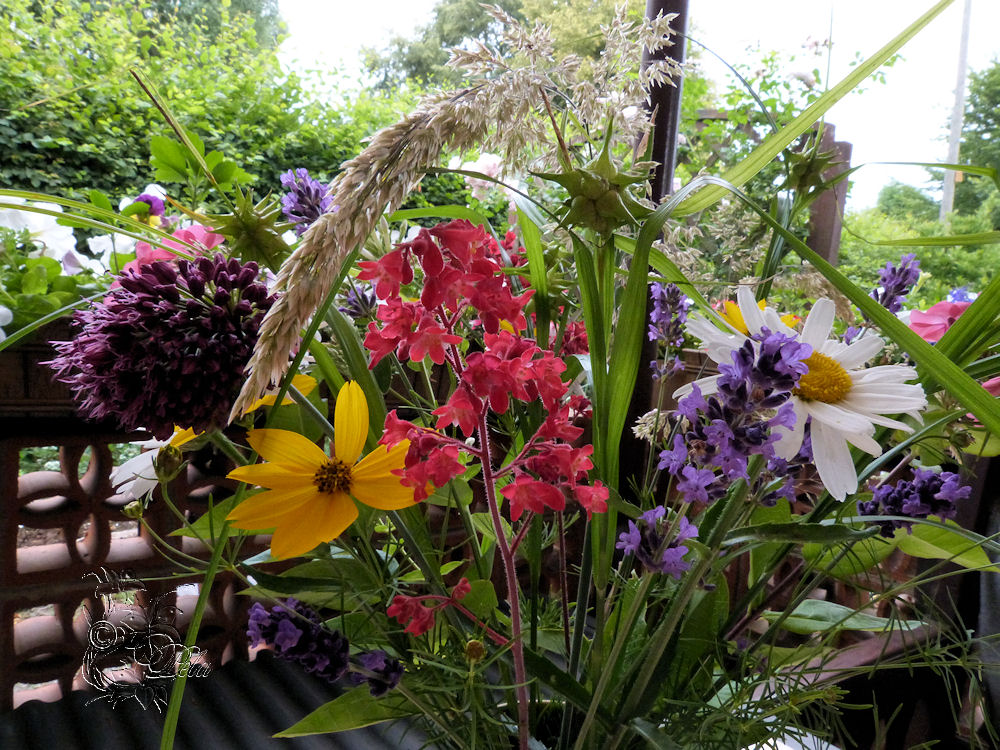 Freitag Blumen Bilder: Bring Your Garden to Life!