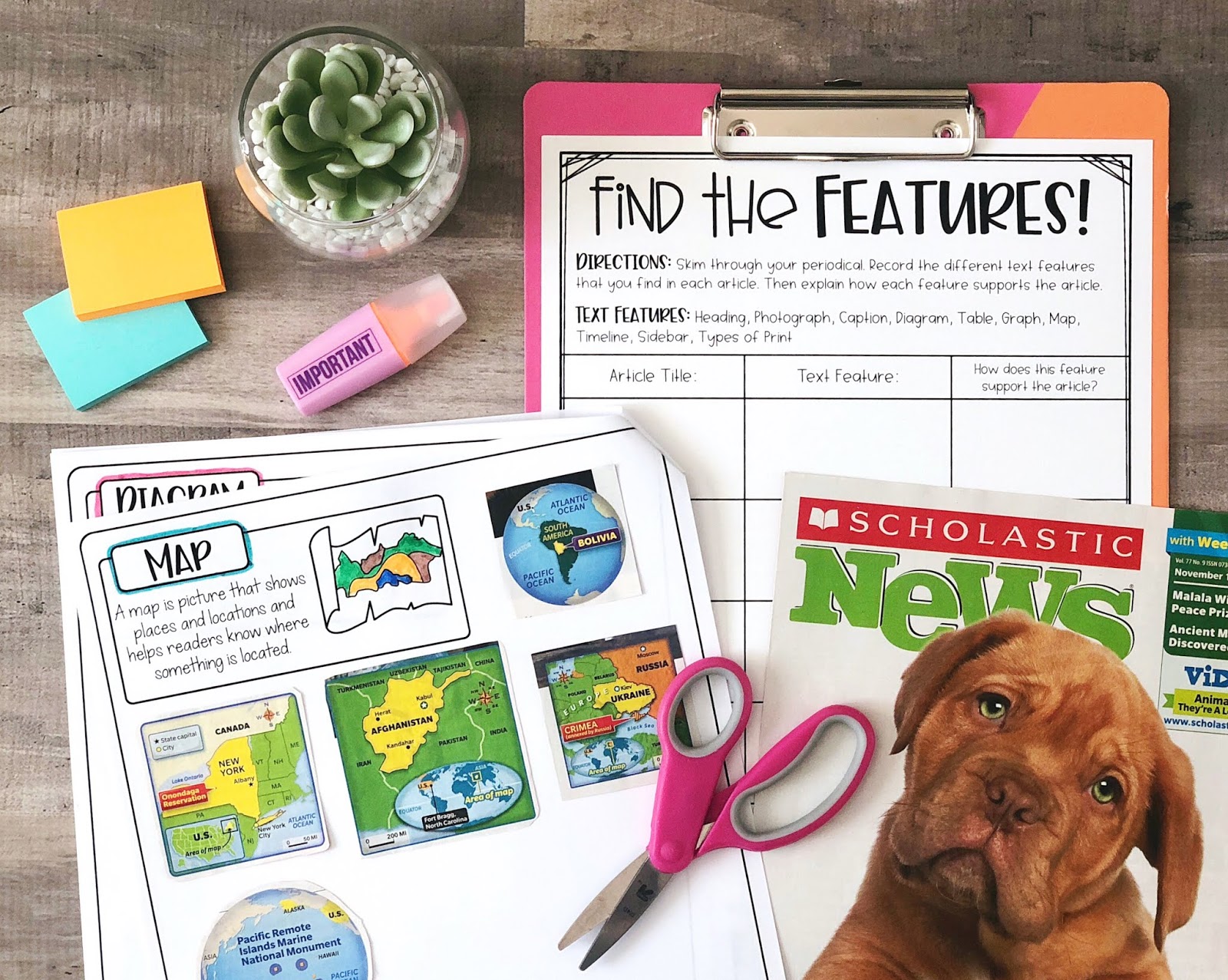 Making the Most of Classroom Magazines Upper Elementary Snapshots