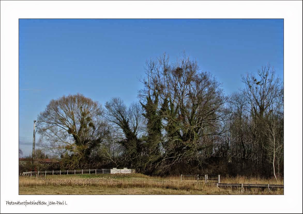 Au Gre Du Jardin Fin De Conge Longue Duree Pour Yoraku Tama