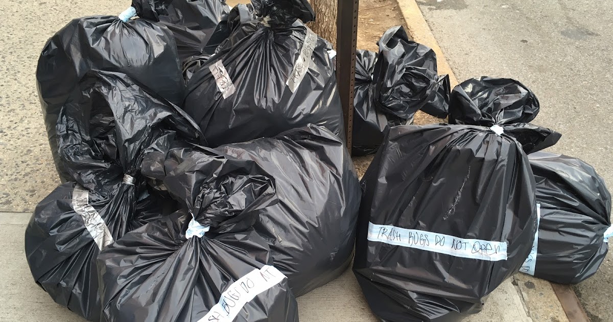 mcbrooklyn Trash Bugs in Cobble Hill