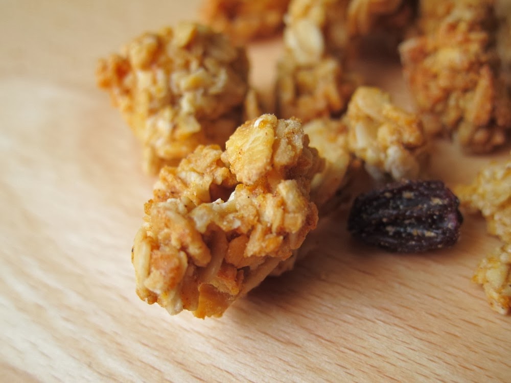 Review Trader Joe's Pumpkin Spice Granola Cereal