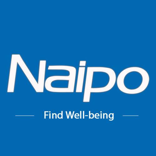 Collaborazione con Naipo