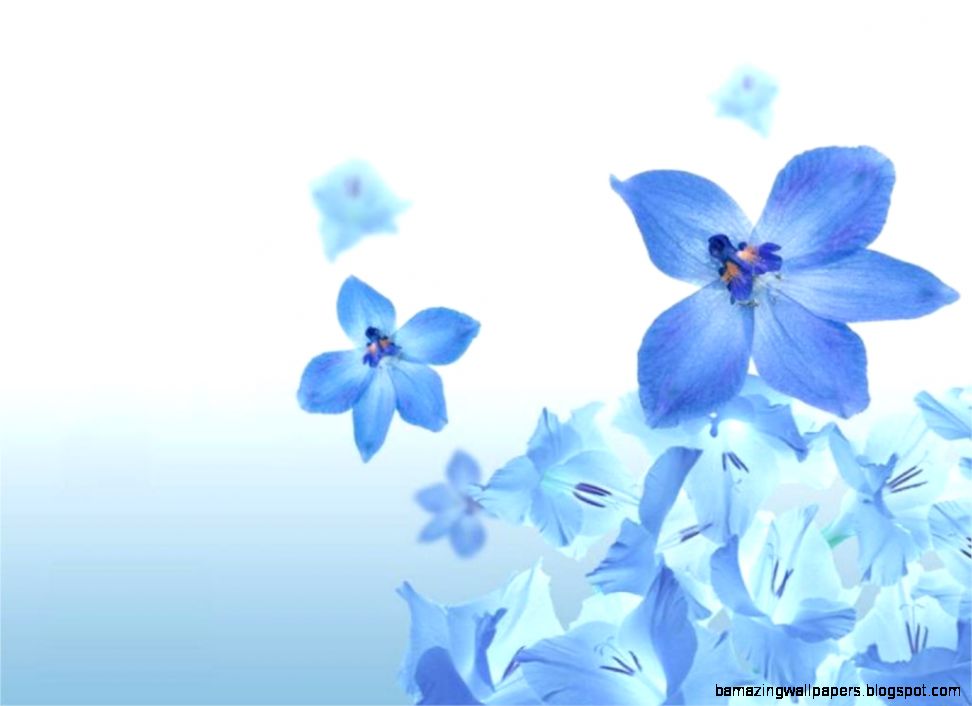 blue flower wallpaper