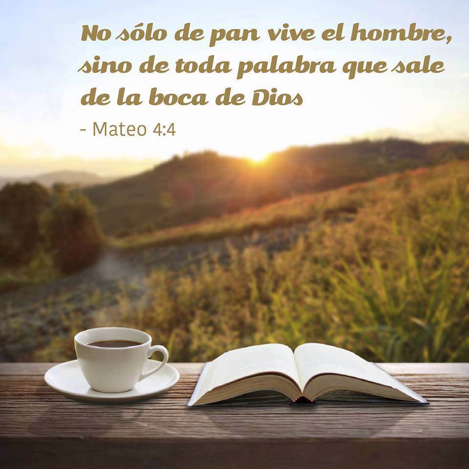 No solo de pan vive el hombre - Imagenes cristianas