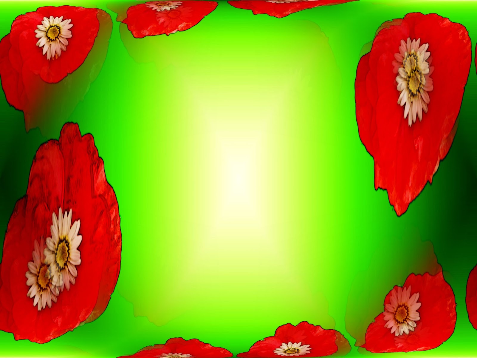 Poppy Borders And Frames June 26th, 2013