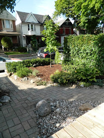 Garden cleanup after Leslieville front yard after Paul Jung Gardening Services Toronto