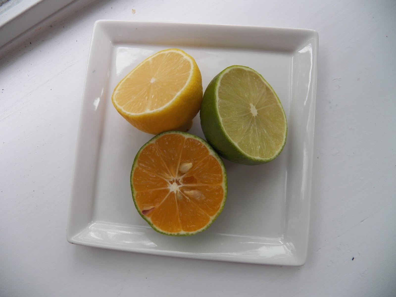 Home made Lime Extract Sid's Sea Palm Cooking