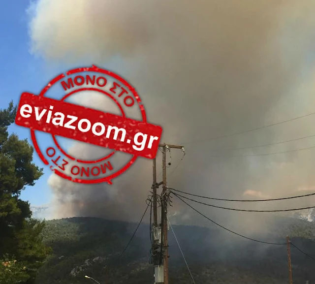Εύβοια: Εικόνες από τη μεγάλη φωτιά στη Μακρυκάπα - Καίγεται ο οικισμός «Βάβουλα» (ΦΩΤΟ)