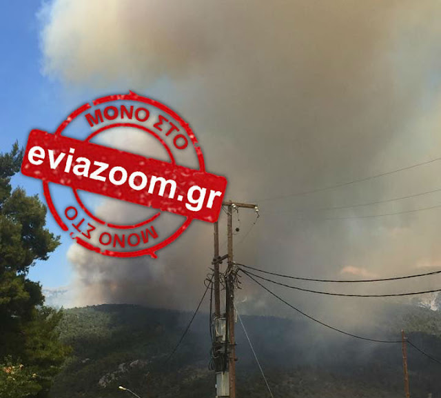 Εύβοια: Εικόνες από τη μεγάλη φωτιά στη Μακρυκάπα - Καίγεται ο οικισμός «Βάβουλα» (ΦΩΤΟ)