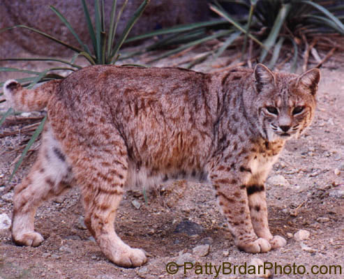 Woman with No Regrets: March 2012