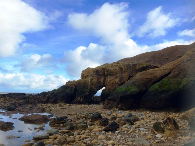 8 Favourite North East Coastal Family Walks logsands tynemouth