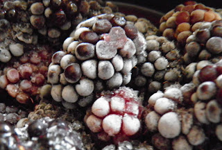 LisaCuisine: März 2013