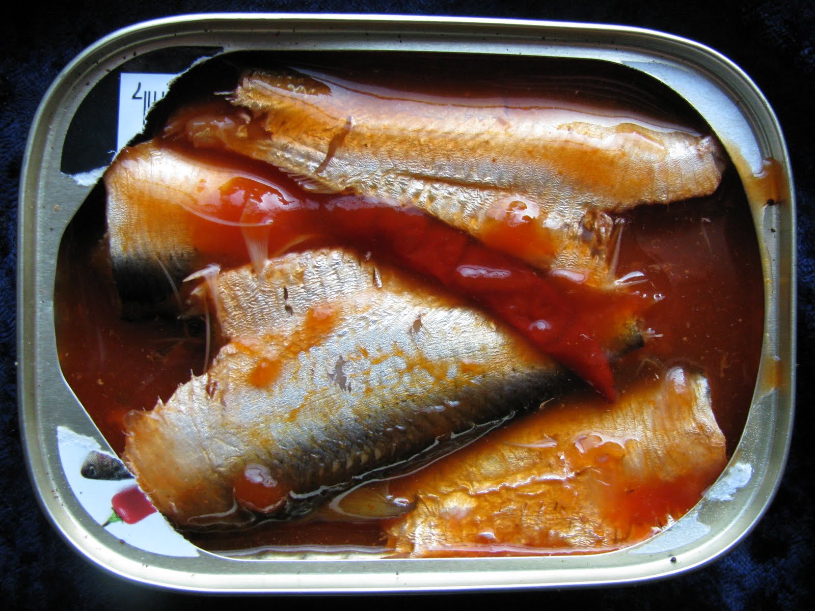 Mouth Full of Sardines Deep Cove 7