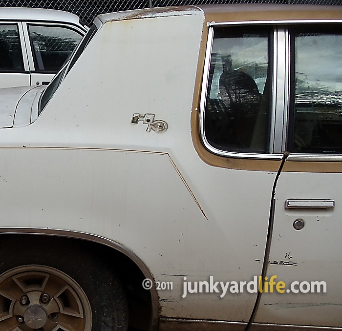 Junkyard Life: Classic Cars, Muscle Cars, Barn finds, Hot rods and part ...