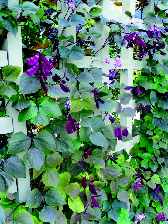 Banco de Imágenes: 40 ideas sobre decoración exterior en jardines con