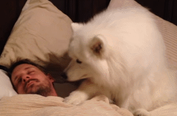 2.gif